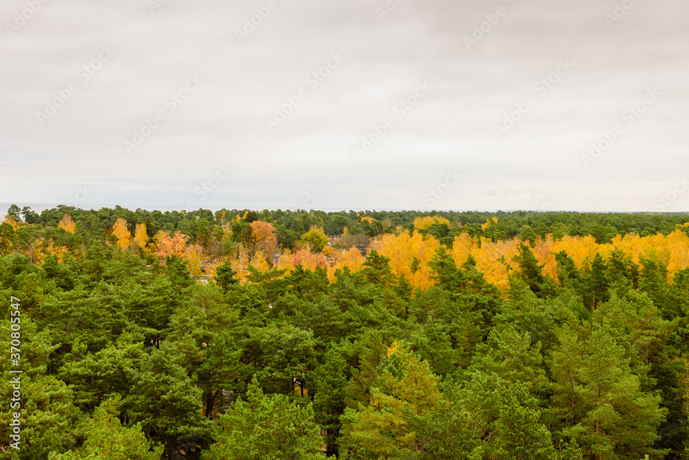 Beautiful autumn landscape. Aerial view of autumn forest in Jurmala town, Latvia