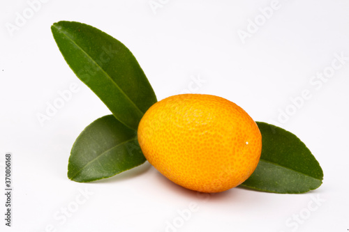 Top view of bunch of fresh ...