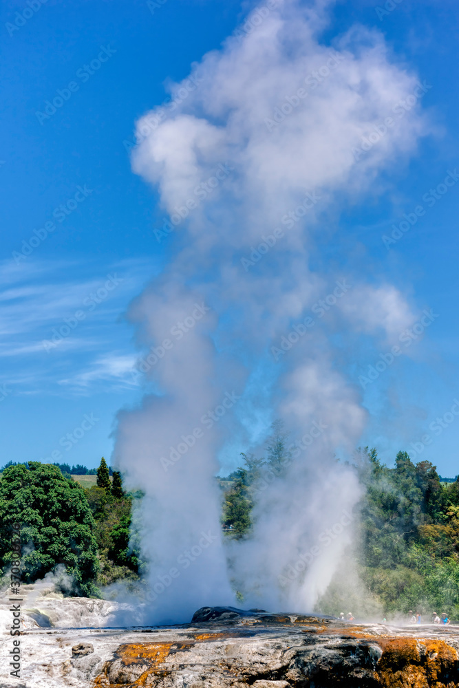 Pohutu Geyser erupting