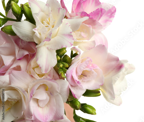 Bouquet of beautiful freesia flowers on white background  closeup