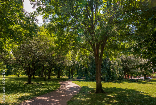 Beautiful trees in Schiller Park in German Village, Columbus, Ohio