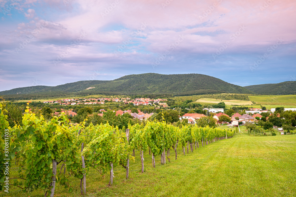 View of the village of Felsőtárkány, near the city of Eger, Hungary. Hills and many vineyards can be found in this area. View of the village of Felsőtárkány, near the city of Eger, Hungary. Hills and many vineyards can be found in this area.