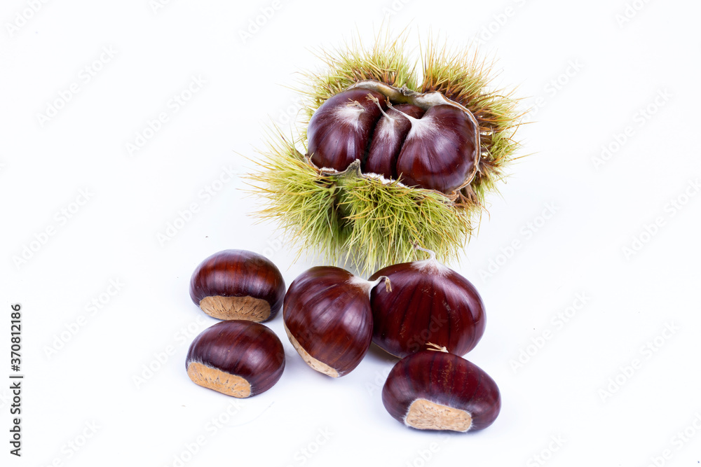 Chestnut Isolated. Roasted sweet chestnuts for Christmas on white background. Top view. Chestnut Isolated. Roasted sweet chestnuts for Christmas on white background. Top view.
