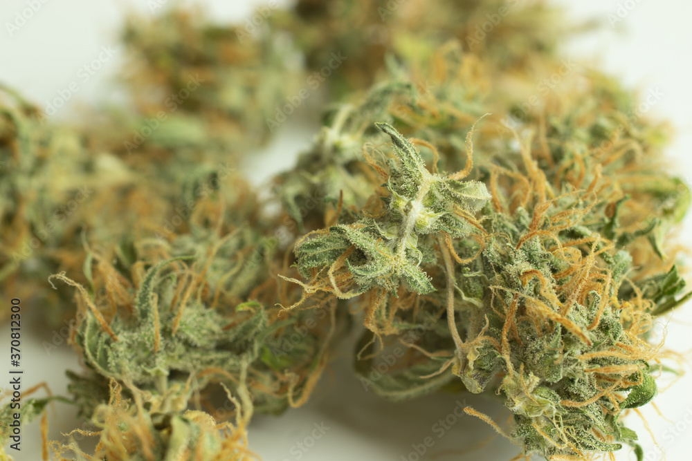 Cannabis bud macro photo. Marijuana close-up shot Cannabis bud macro photo. Marijuana close-up shot