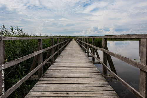 Long Empty Wooden Boardwalk By Reeds Over Federsee