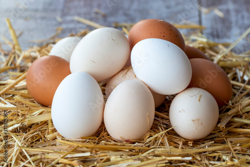 Eggs, Chicken Egg on Straw
