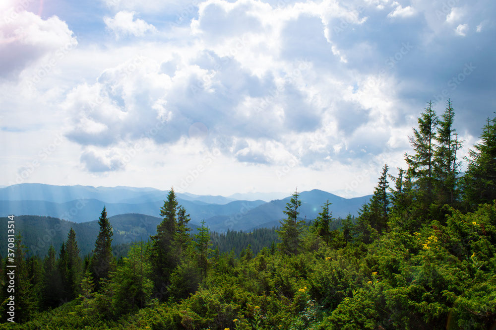 Carpathian Mountains. Panorama of green hills in summer mountain