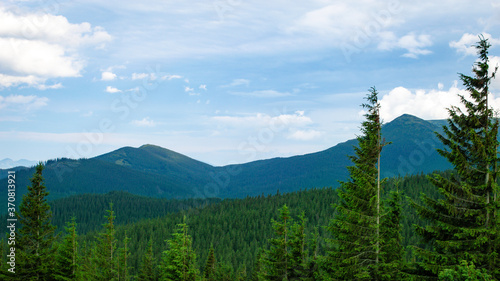 Carpathian Mountains. Panorama of green hills in summer mountain