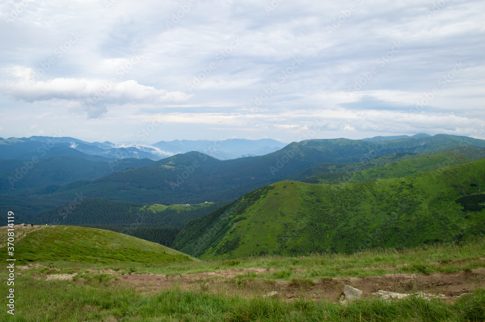 Fototapeta Góry Karpaty. Panorama zielonych wzgórz w letniej górze