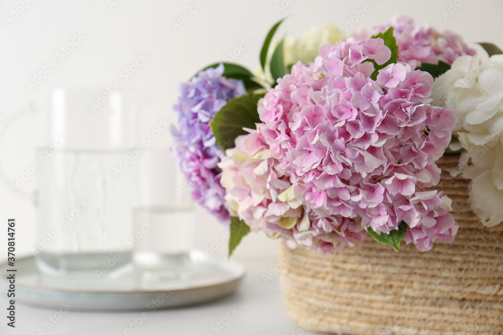 Beautiful hydrangea flowers in basket on light table, closeup