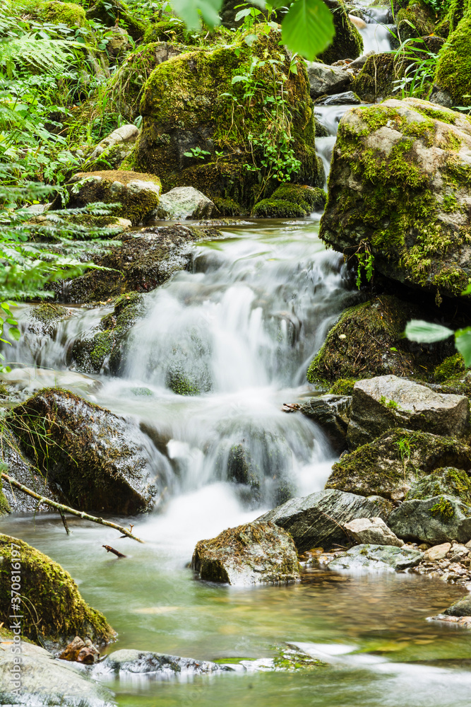 Small waterfall in the forest