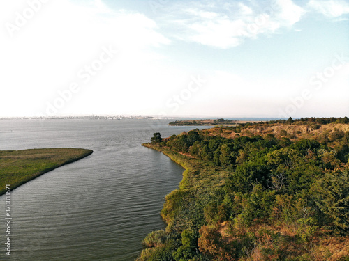 Picturesque coastline. The forest area descends to the coast of the bay along a gentle slope.