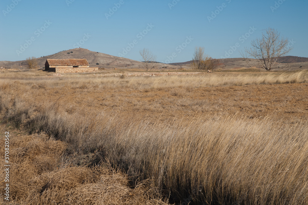 Rural landscape. Gallocanta Lagoon. Aragon. Spain.
