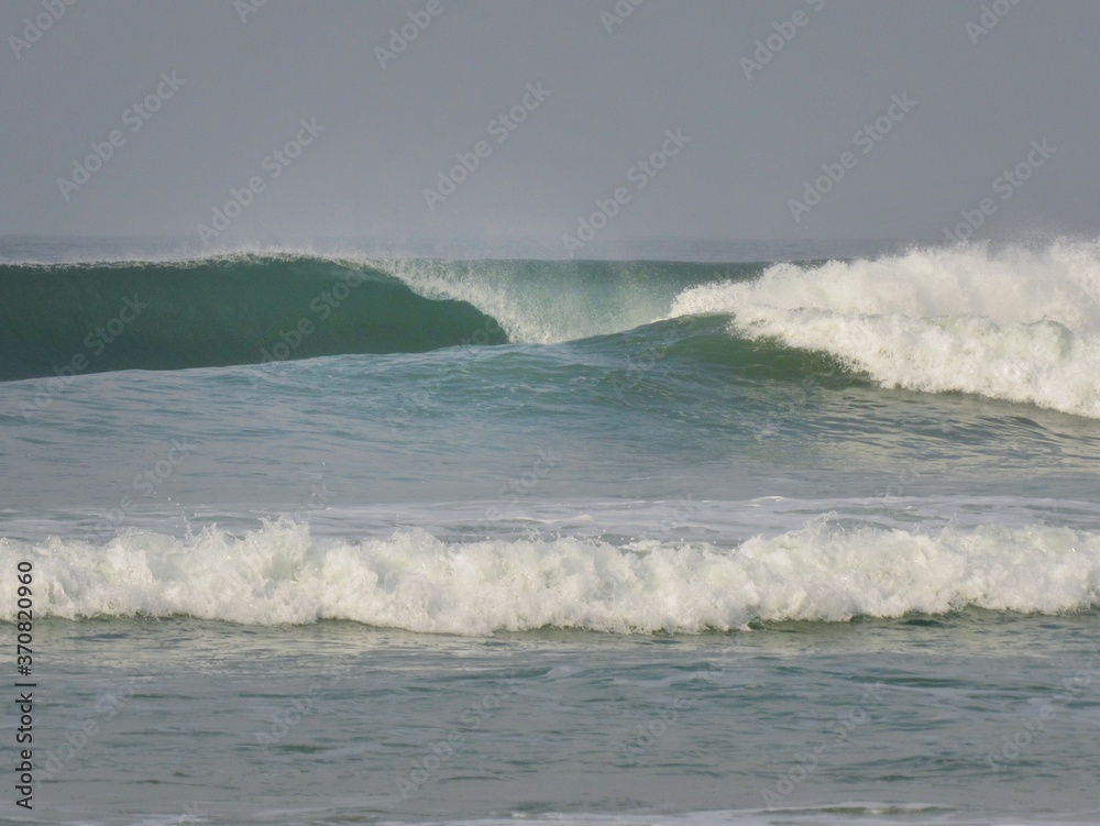 Amongst The Waves Amongst The Waves