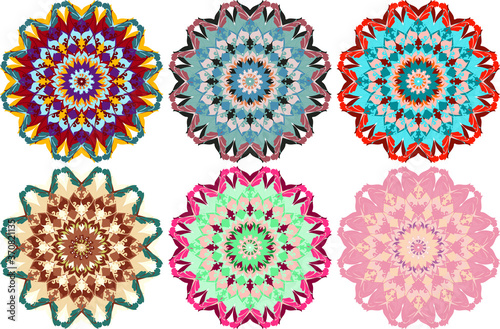 Set of six colorful flowers, vector illustration