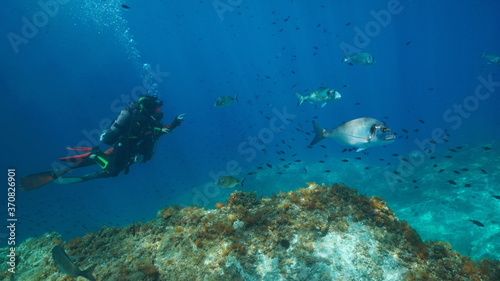 Scuba diving in the Mediterranean sea, two scuba divers look at fish underwater, France