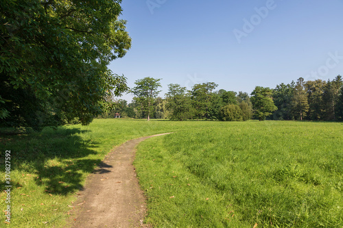 Path in the garden. Next to the road is a meadow and trees. In the background is a blue sky. There are shadows of trees on the way.