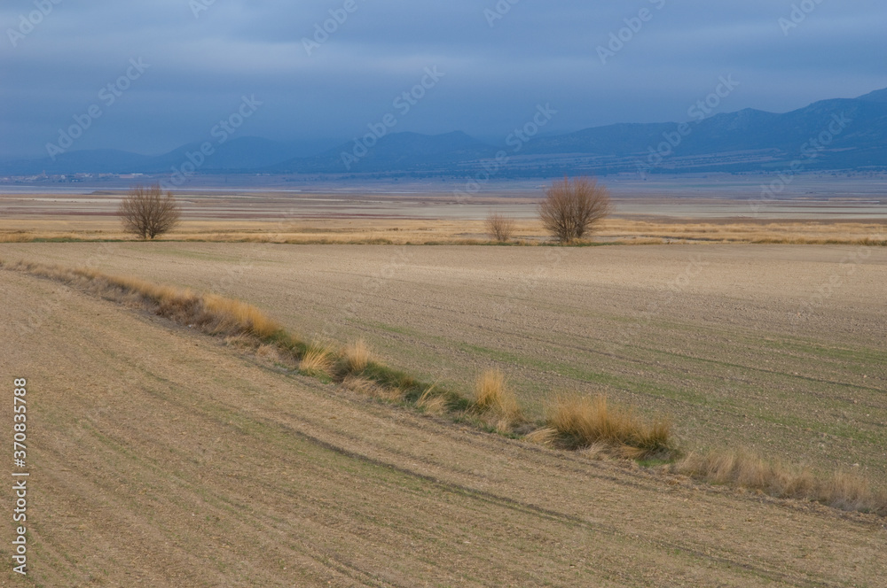 Obraz premium Farmland. Gallocanta Lagoon Natural Reserve. Aragon Spain.