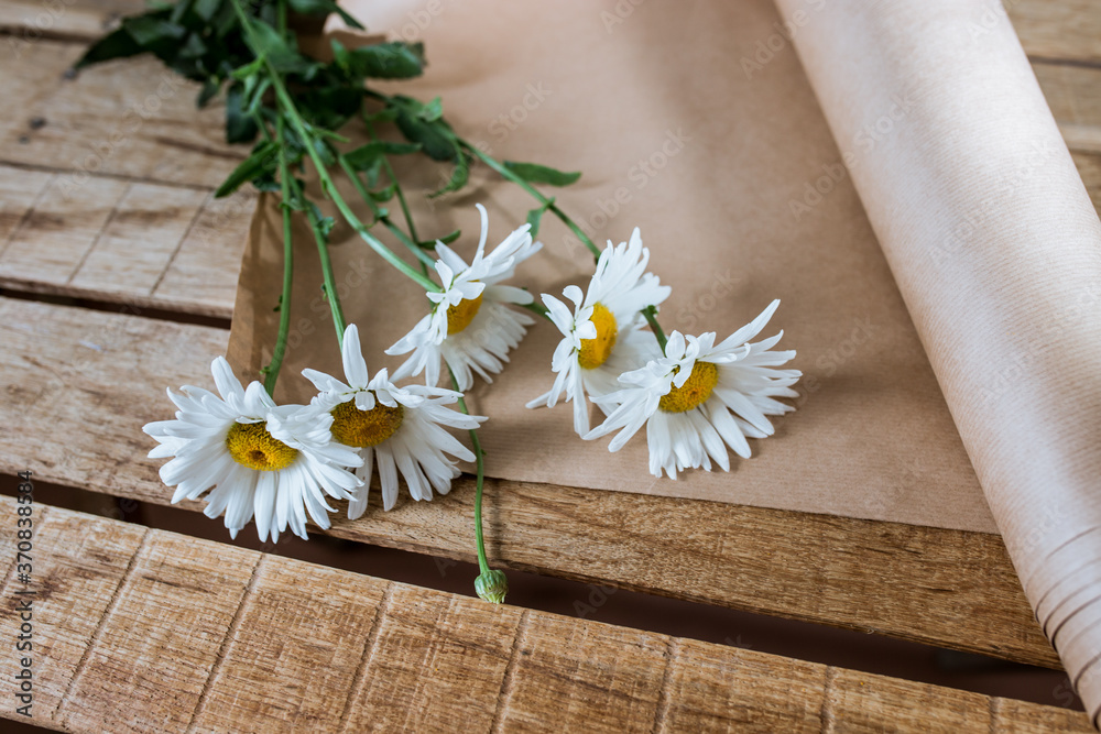 white flowers on a wooden table with a roll of craft paper with a white background in the interior, chamomile white flowers on a wooden table with a roll of craft paper with a white background in the interior, chamomile
