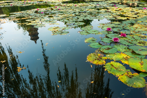 Exterior lush garden with lake on sunny day in Shanxi photo