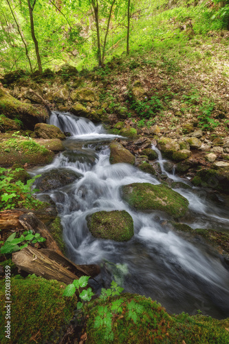 River in the forest  Slovakia