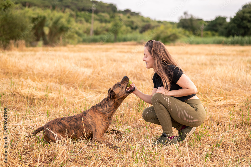 Side view of glad female in casual clothes holding toy while playing with adorable big dog on meadow in autumn under cloudy sky Side view of glad female in casual clothes holding toy while playing with adorable big dog on meadow in autumn under cloudy sky