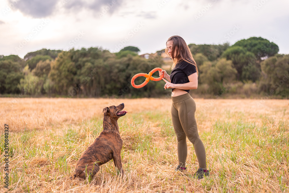 Side view of glad female in casual clothes holding toy while playing with adorable big dog on meadow in autumn under cloudy sky Side view of glad female in casual clothes holding toy while playing with adorable big dog on meadow in autumn under cloudy sky