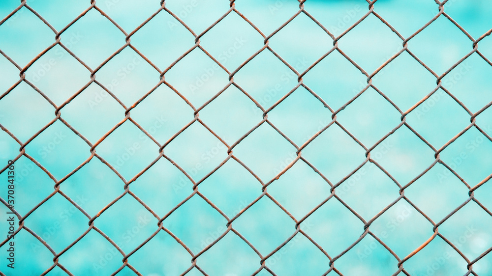 Mesh rabitz on an abstract blue background, texture of weaving mesh network link. Close-up of a fence. Mesh rabitz on an abstract blue background, texture of weaving mesh network link. Close-up of a fence.
