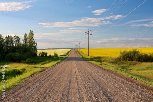 road in the field