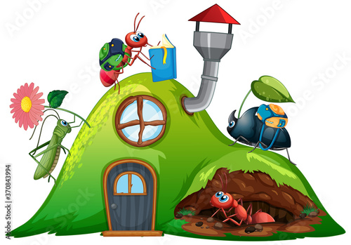 Insect house full of insects on white background