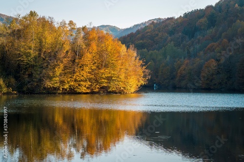 Fototapeta Naklejka Na Ścianę i Meble -  autumn in the lake