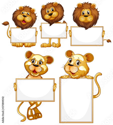 Blank sign template with many lions on white background