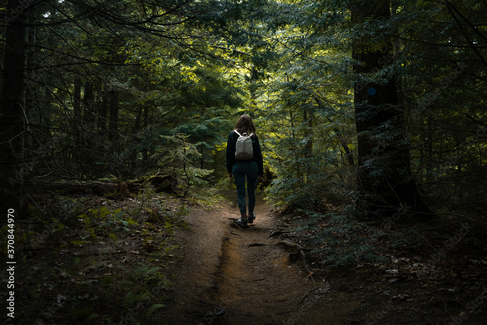 Back view of unrecognizable female hiker with backpack walking on narrow trail among green bushes and trees in Algonquin Provincial Park in Canada Back view of unrecognizable female hiker with backpack walking on narrow trail among green bushes and trees in Algonquin Provincial Park in Canada