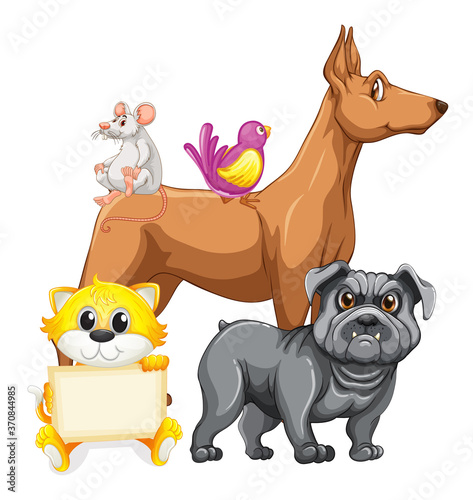 Group of cute animals isolated on white background