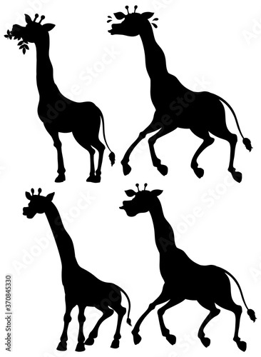 Set of giraffe and its silhouette
