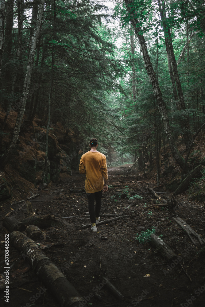 Back view of unrecognizable male tourist standing with outstretched arms on path in woods and enjoying nature during holiday in Algonquin Provincial Park Back view of unrecognizable male tourist standing with outstretched arms on path in woods and enjoying nature during holiday in Algonquin Provincial Park