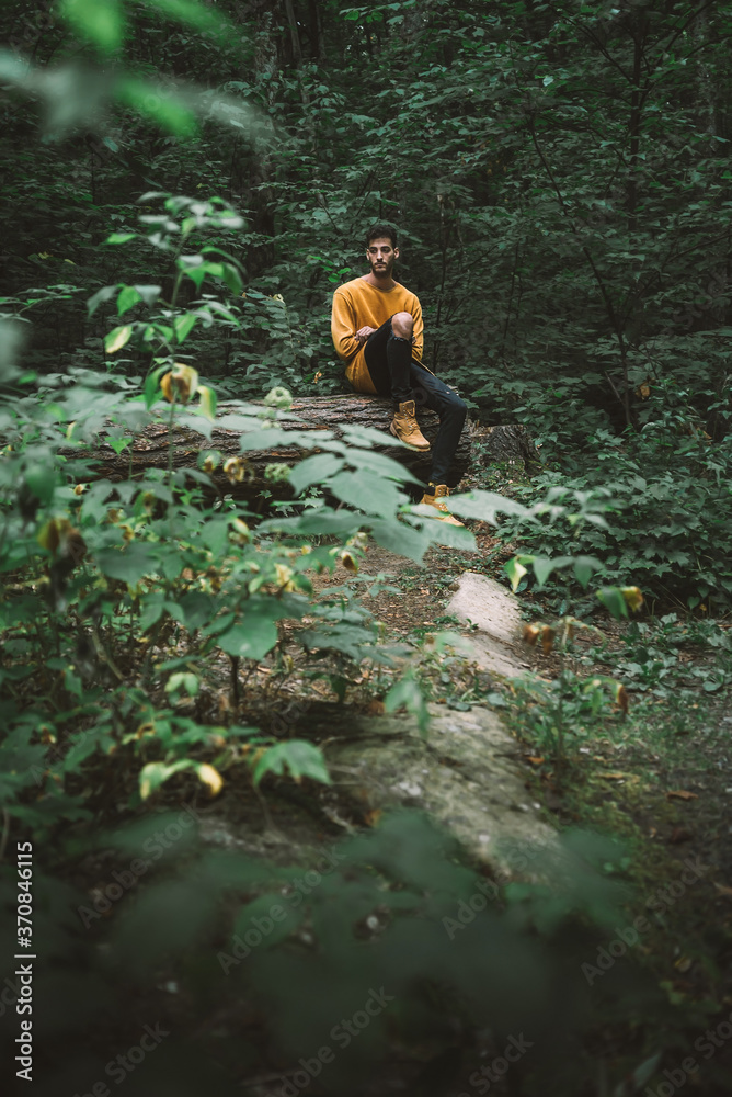 Young male traveler sitting on log among dense green foliage and looking away while resting during trekking in forest in Algonquin Provincial Park in Canada Young male traveler sitting on log among dense green foliage and looking away while resting during trekking in forest in Algonquin Provincial Park in Canada