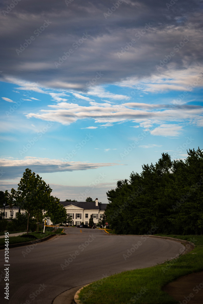 Curvy road between pine trees in a neighborhood of Lexington, Kentucky USA