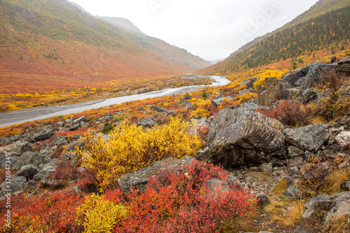 Savage River and autumn colored brush on the tundra in Denali National Park, Alaska © Bob