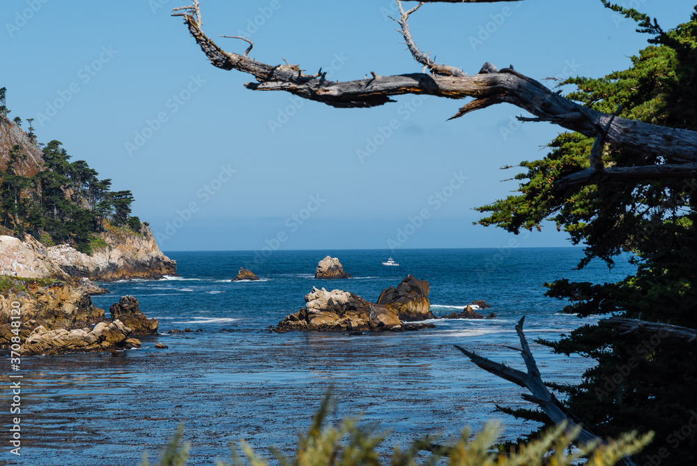 Rocks in the ocean with dead pine tree in the foreground and blue sky in the background. Point Lobos State Natural Reserve