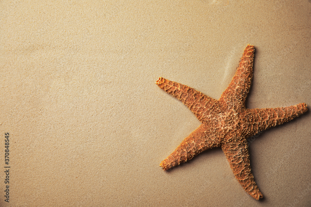 Beautiful starfish on sand, top view. Space for text Beautiful starfish on sand, top view. Space for text