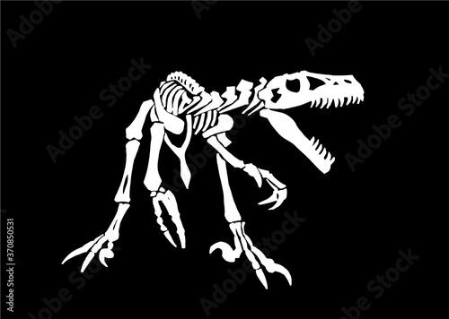Graphical skeleton of raptor isolated on black, vector engraved illustration, paleonthology