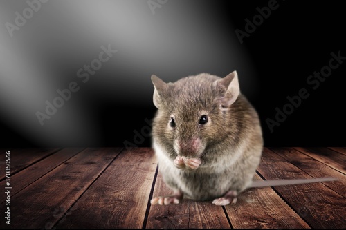 Adorable. photo