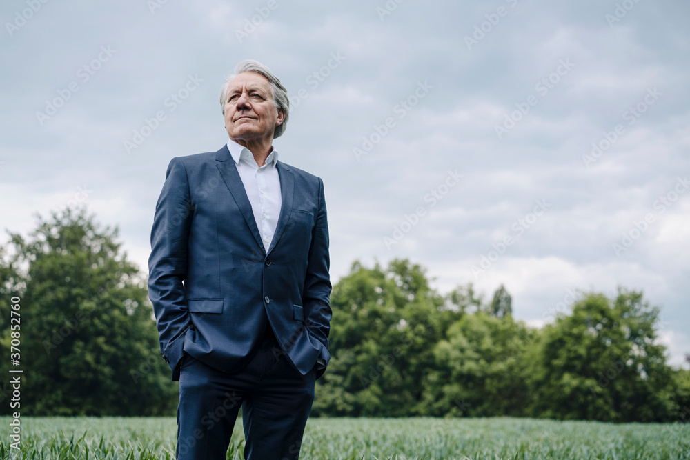Senior businessman on a field in the countryside Senior businessman on a field in the countryside