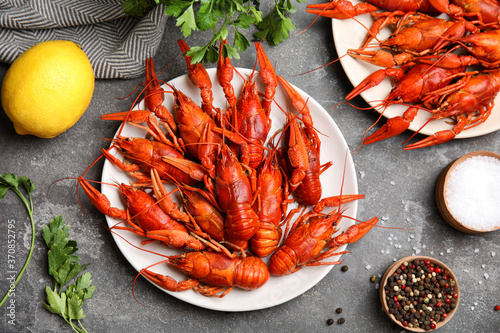 Flat lay composition with delicious boiled crayfishes on grey table