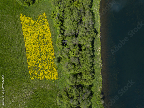 Russia, Moscow Oblast, Aerial view of green lakeshore grove and yellow flowerbed in spring