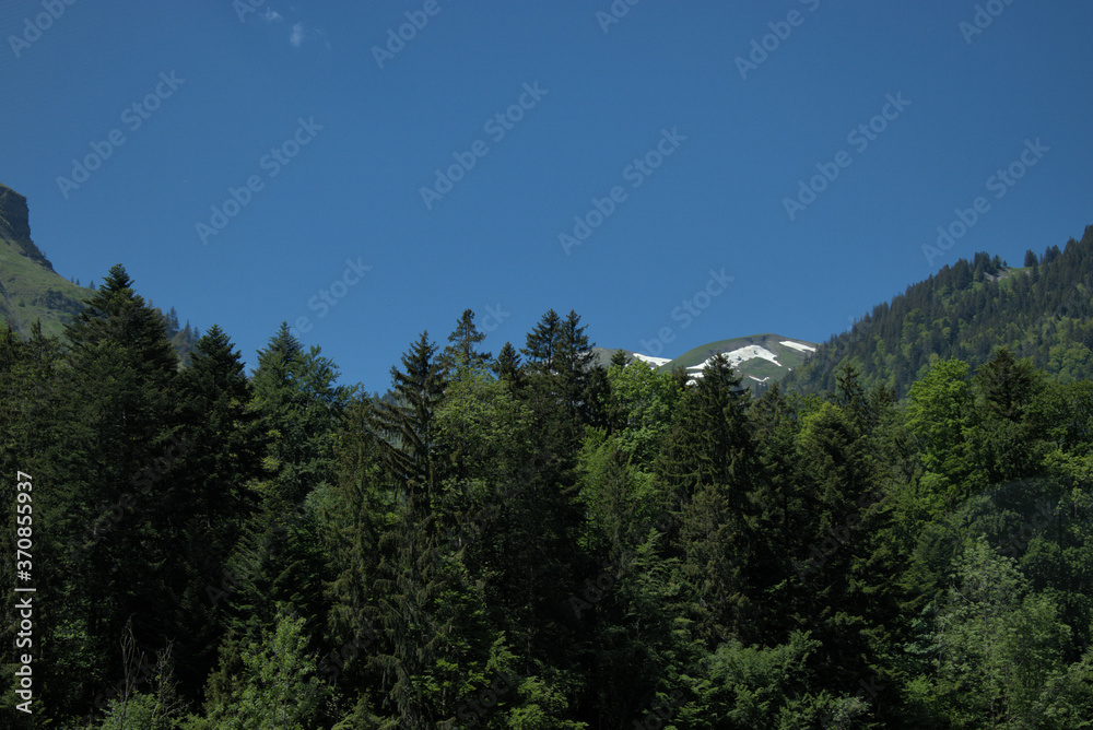 Schweizer Berglandschaft 21.5.2020