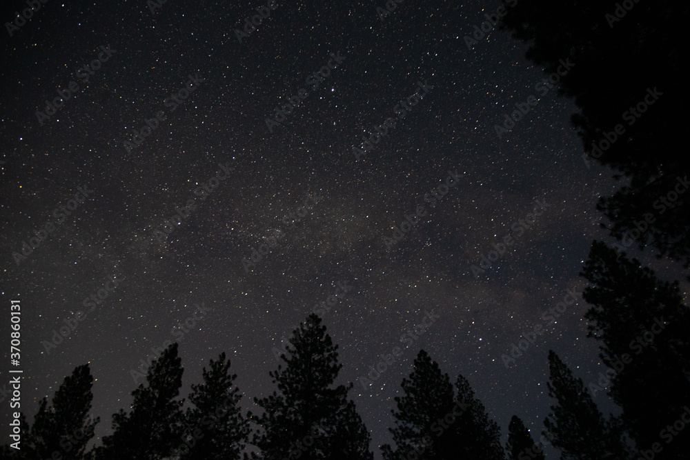 Naklejka premium Starry Night Sky