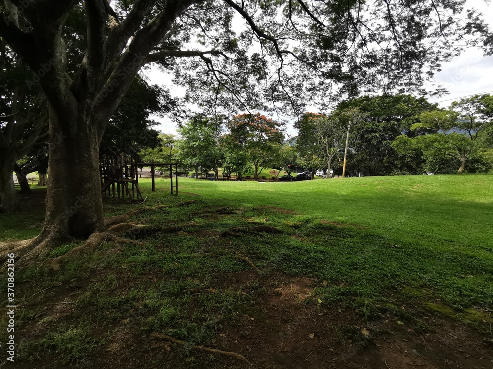 Obraz premium PARQUE LA SABANA SAN JOSE COSTA RICA 