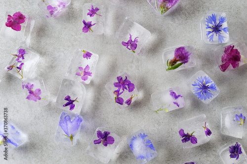 Floral ice cubes. Frozen flowers in ice.